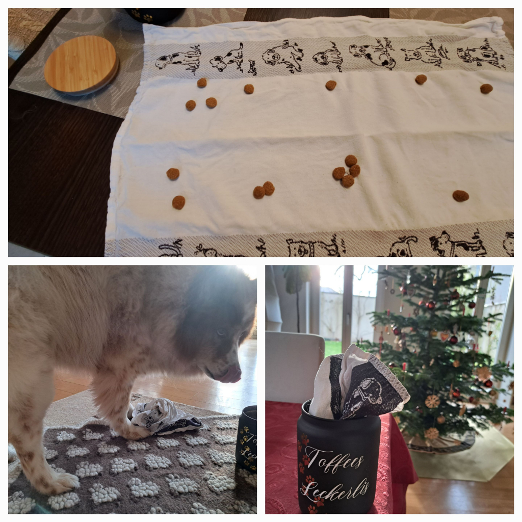 Weihnachten mit Hund Geschenklidee