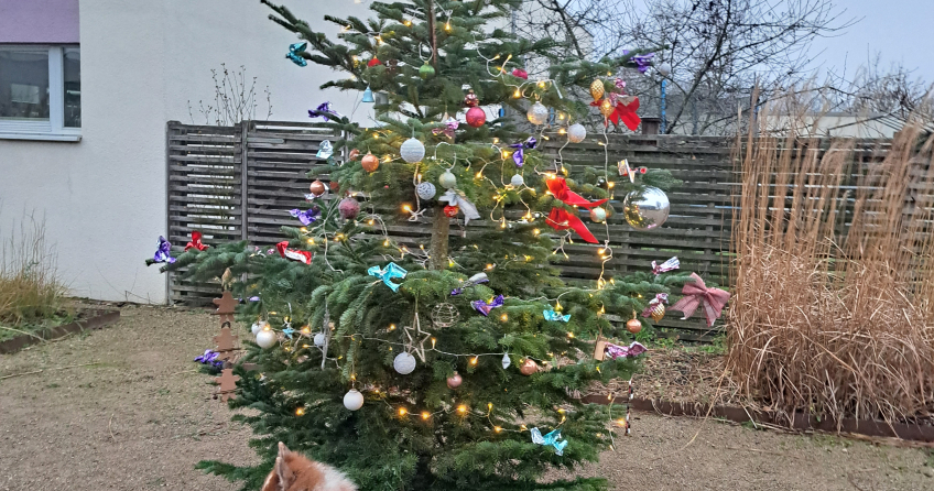 Weihnachtsbaum mit Hund